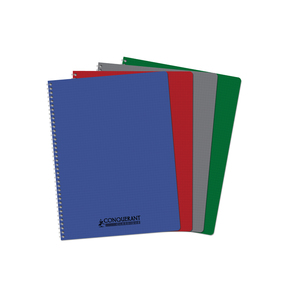 CAHIER PP ASSORTIS 21X29,7 100P 5X5 90G RELIURE INTÉGRALE