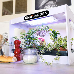 CLÉOGARDEN 1 KIT CYCLE 1