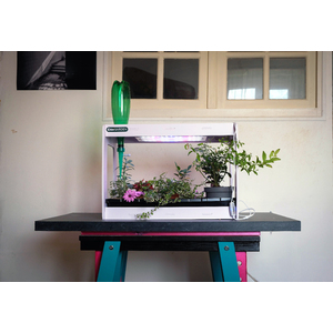 CLÉOGARDEN 1 KIT CYCLE 1