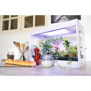 CLÉOGARDEN 2 KIT CYCLE 2