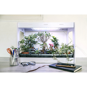 CLÉOGARDEN 3 KIT CYCLE 3
