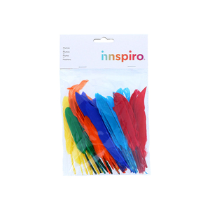 60 PLUMES INDIEN 13CM COLORIS ASSORTIS