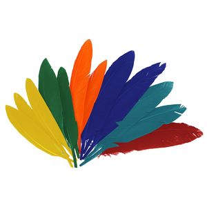 60 PLUMES INDIEN 13CM COLORIS ASSORTIS