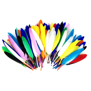 1000 PLUMES FORMES,TAILLES ET COLORIS ASSORTIS