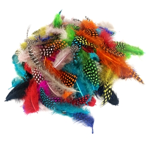 1000 PLUMES FORMES,TAILLES ET COLORIS ASSORTIS