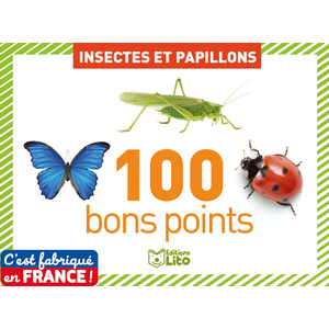 100 BONS POINTS LES INSECTES ET PAPILLONS