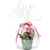 PAPIER FLEURISTE TRANSPARENT 0,70X10M