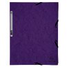 LOT DE 10 CHEMISES 3 RABATS CARTE LUSTRÉE VIOLET EXACOMPTA