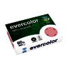 RAMETTE A4 80G ROSE 100% RECYCLÉ EVERCOLOR