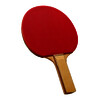 RAQUETTE DE TENNIS DE TABLE