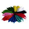 SACHET DE 100 G DE PLUMES INDIENNES - COLORIS ASORTIS
