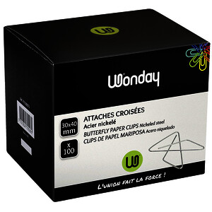 BOÎTE DE 100 ATTACHES GÉANTES 30 X 40 MM ACIER NICKELÉ