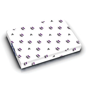 RAMETTE DE 250 FEUILLES  A3 160G BLANC SPÉCIAL JET ENCRE DCP
