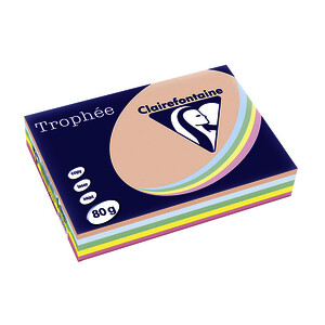 RAMETTE A4 80G ASSORTI PASTEL TROPHEE CLAIREFONTAINE