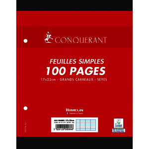 PAQ 50 FLL (100 P) MOB 90G/M² SEYÈS PERF 17X22CM CONQUÉRANT