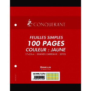 PAQ 50 FLL (100P) MOB 80G/M² SEY PERF 2 TR 17X22CM JO CONQ