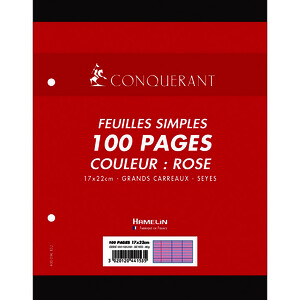 PAQ 50 FLL (100P) MOB 80G/M² SEY PERF 2 TR 17X22CM ROSE CONQ