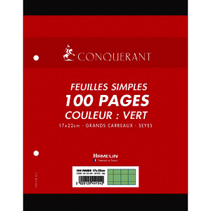 PAQ 50 FLL (100P) MOB 80G/M² SEY PERF 2 TR 17X22CM VERT CONQ