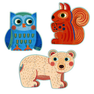 LOT DE 3 PUZZLES ÉVOLUTIFS 