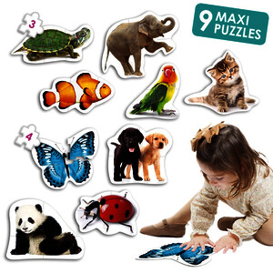 LOT DE 9 MAXI PUZZLES 
