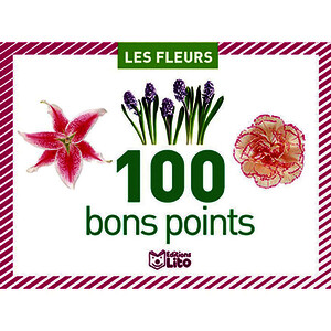 BOÎTE DE 100 BONS POINTS 