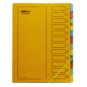 TRIEUR EN CARTE LUSTRÉE 12 COMP COL PASTELS 24X32CM EXTENDOS