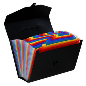 TRIEUR VALISETTE RAINBOW 24 COMP NOIR 38X25,5X12 CM VIQUEL