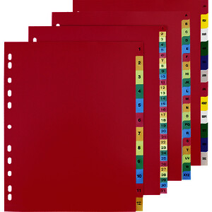 JEU D'INTERCALAIRES A4+ 12 TOUCHES MENSUELS JANV À DÉC PP