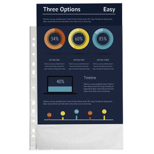 LOT DE 100 POCHETTES PERFORÉES A4 GRAINÉES PP 5/100E BUDGET