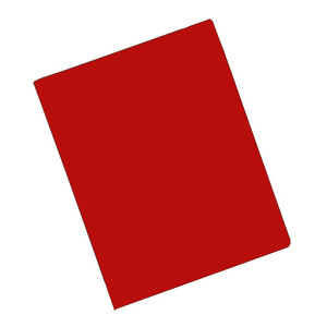 PROTÈGE-DOCUMENTS EN PP 40 POCH / 80 VUES ROUGE BUDGET