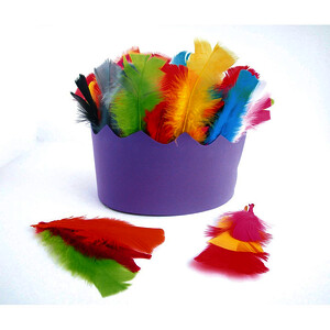 SACHET DE 25G DE PLUMES DE DINDE 15 CM - COULEURS ASSORTIES