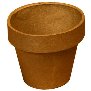 LOT DE 10 POTS DE FLEURS EN CARTONS D10 X 10 CM