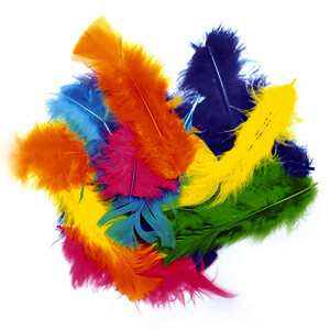 SAC 250 G DE PLUMES 15 CM - COLORIS ASSORTIS
