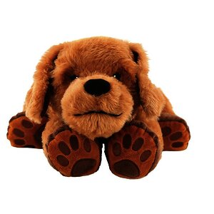 THÉO, CHIEN THÉRAPIE