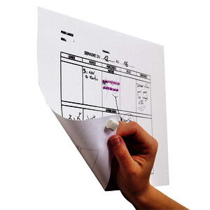 BLISTER DE 120 PASTILLES DE PÂTE ADHÉSIVE LACOSTE