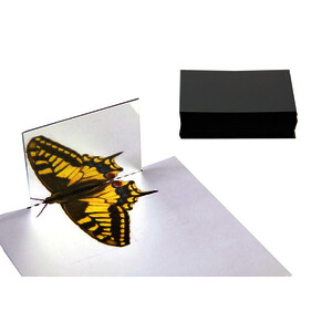 LOT DE 25 MIROIRS À BORDS ARRONDIS