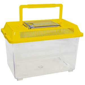 LOT DE 2 BOÎTES À INSECTES, 2 TAILLES ASSORTIS