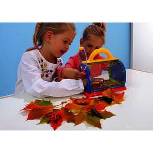 BOÎTE D'OBSERVATION INSECTES