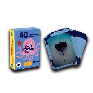 FLASH CARDS, MERS ET OCÉANS