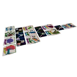 JEU DE SOCIÉTÉ : DAME NATURE