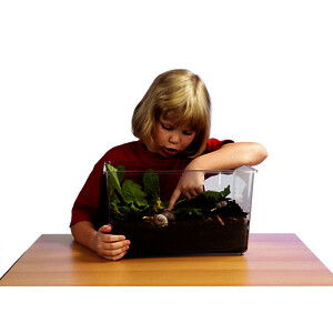 VIVARIUM EN PVC AVEC COUVERCLE