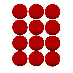 LOT 12 BALLES DE HOCKEY