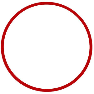 LOT DE 10 CERCEAUX PLATS D 60 CM - ROUGE