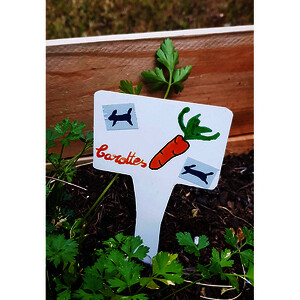 SACHET DE 10 PORTE-ÉTIQUETTES POUR JARDINERIE