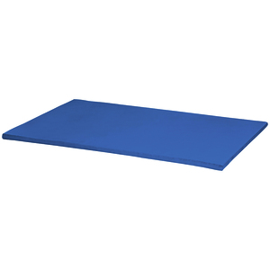 TAPIS CONFORT (150 CM) - BLEU CLAIR