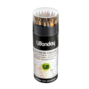 WONDAY POT 48 CRAYONS COULEURS ASSORTIS 1ER PRIX